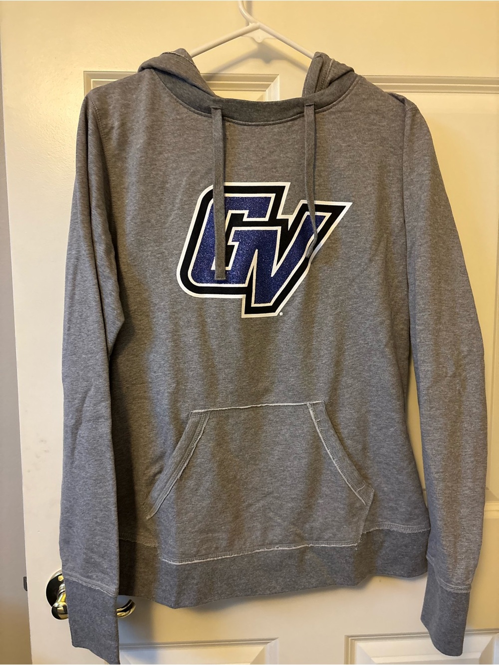 Grand Valley New Agenda Graphic Pullover Hoodie in Gray Size Large